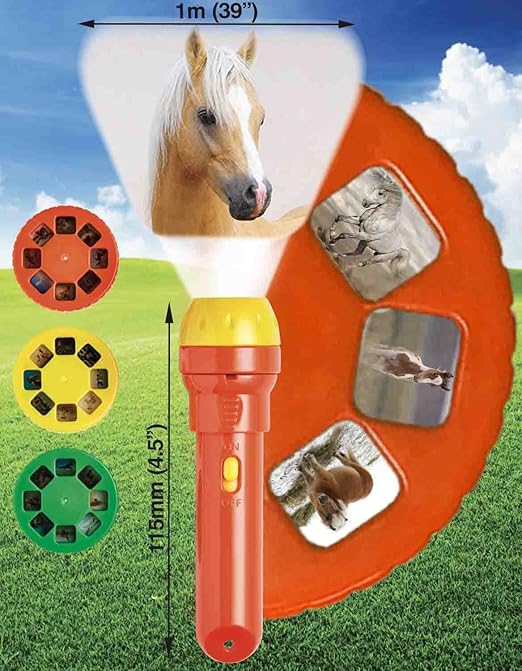 Brainstorm Horse Torch & Projector