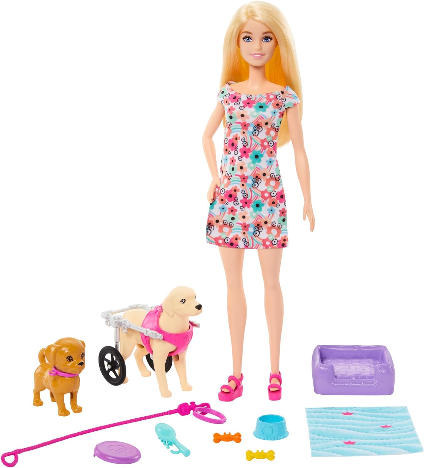 Barbie Doll with 2 Toy Dogs & Pet Accessories