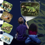 Brainstorm Animal Torch & Projector