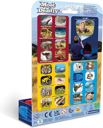 Brainstorm Most Deadly Toch & Projector