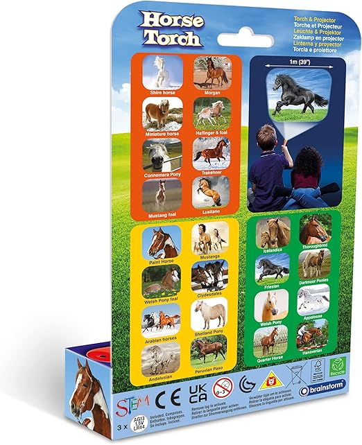 Brainstorm Horse Torch & Projector