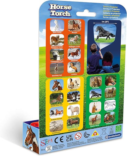 Brainstorm Horse Torch & Projector