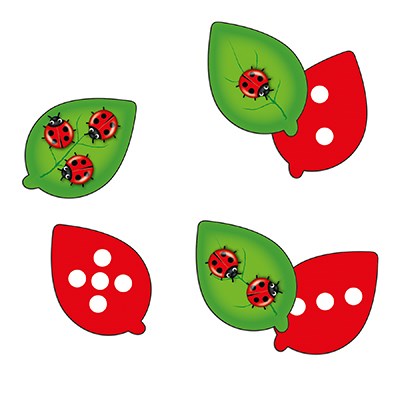 The Game Of Ladybird